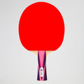 Paleta Ping Pong Double Fish 4 Diamonds