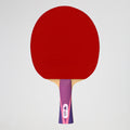 Paleta Ping Pong Double Fish 5 Diamonds