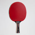 Paleta Ping Pong Giant Dragon 5 Estrellas