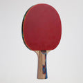 Paleta Ping Pong Giant Dragon 6 Estrellas