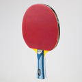 Paleta Ping Pong Giant Dragon 7 Estrellas