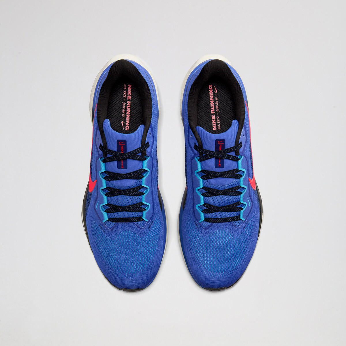 Zapatillas Running Nike Pegasus 41 Hombre