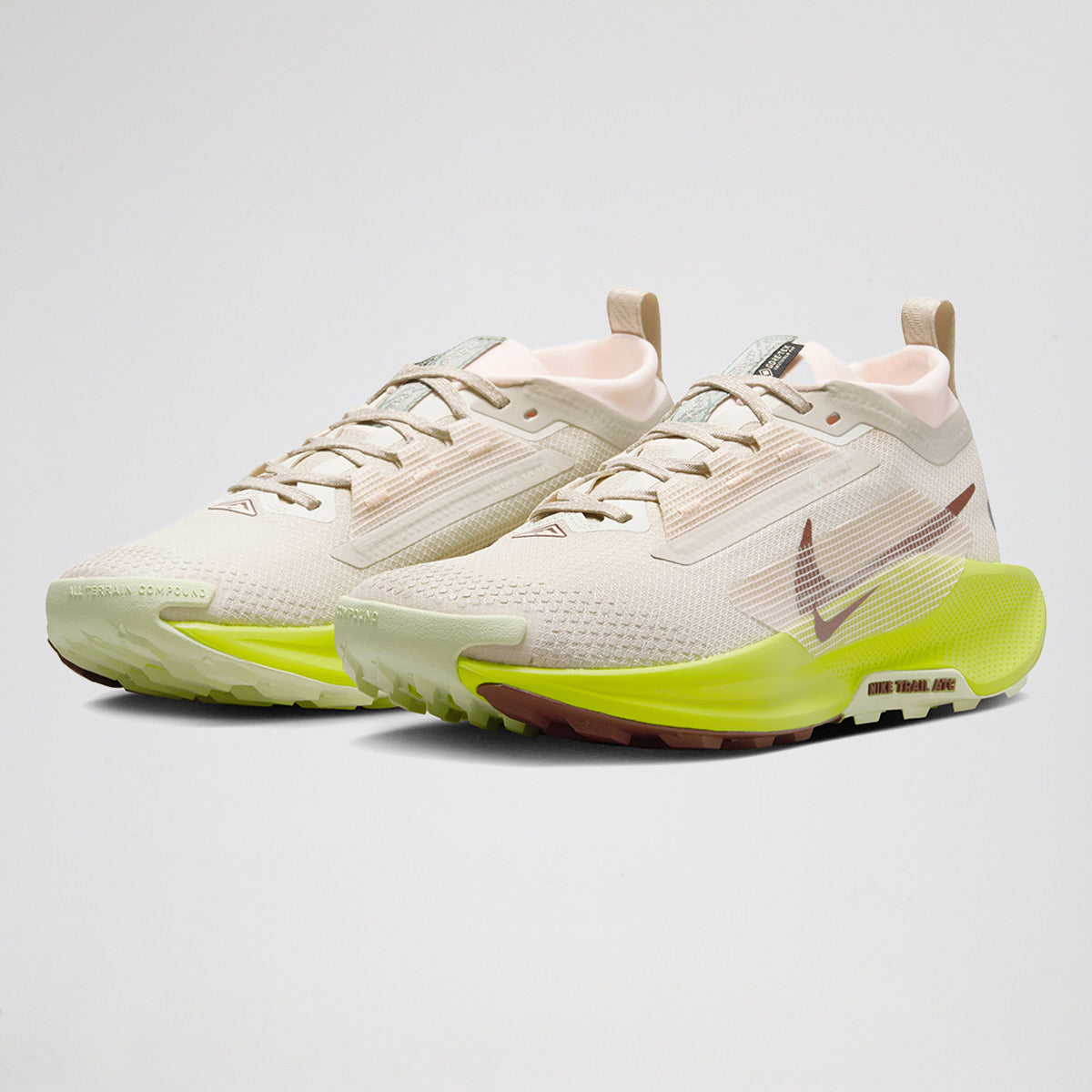 Zapatillas Running Nike Pegasus Trail 5 GORE-TEX Mujer