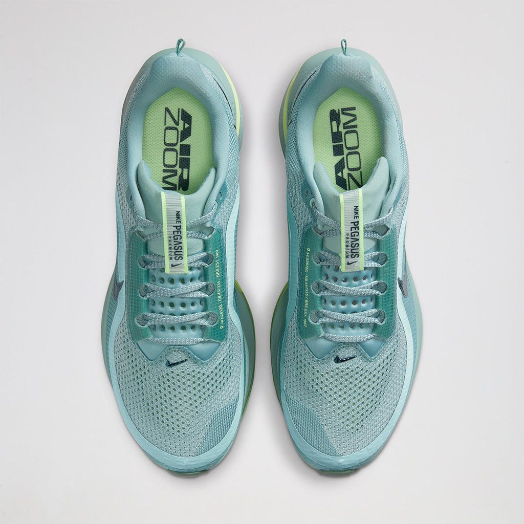 Zapatillas Nike Pegasus Premium Hombre