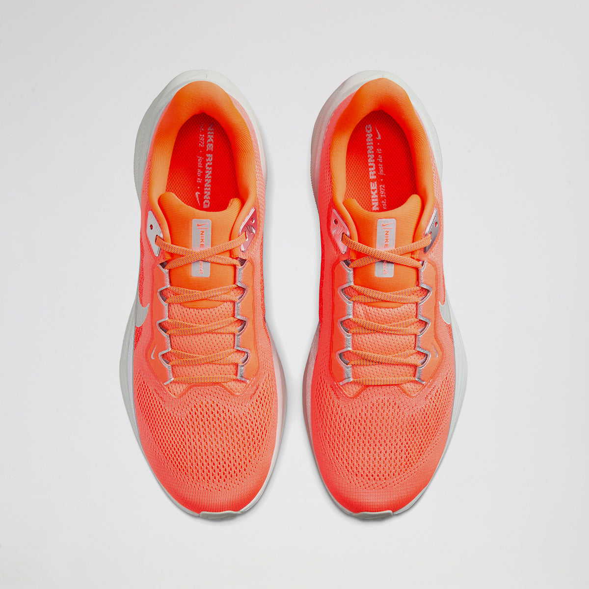 Zapatillas Nike Pegasus 41 PRM Hombre