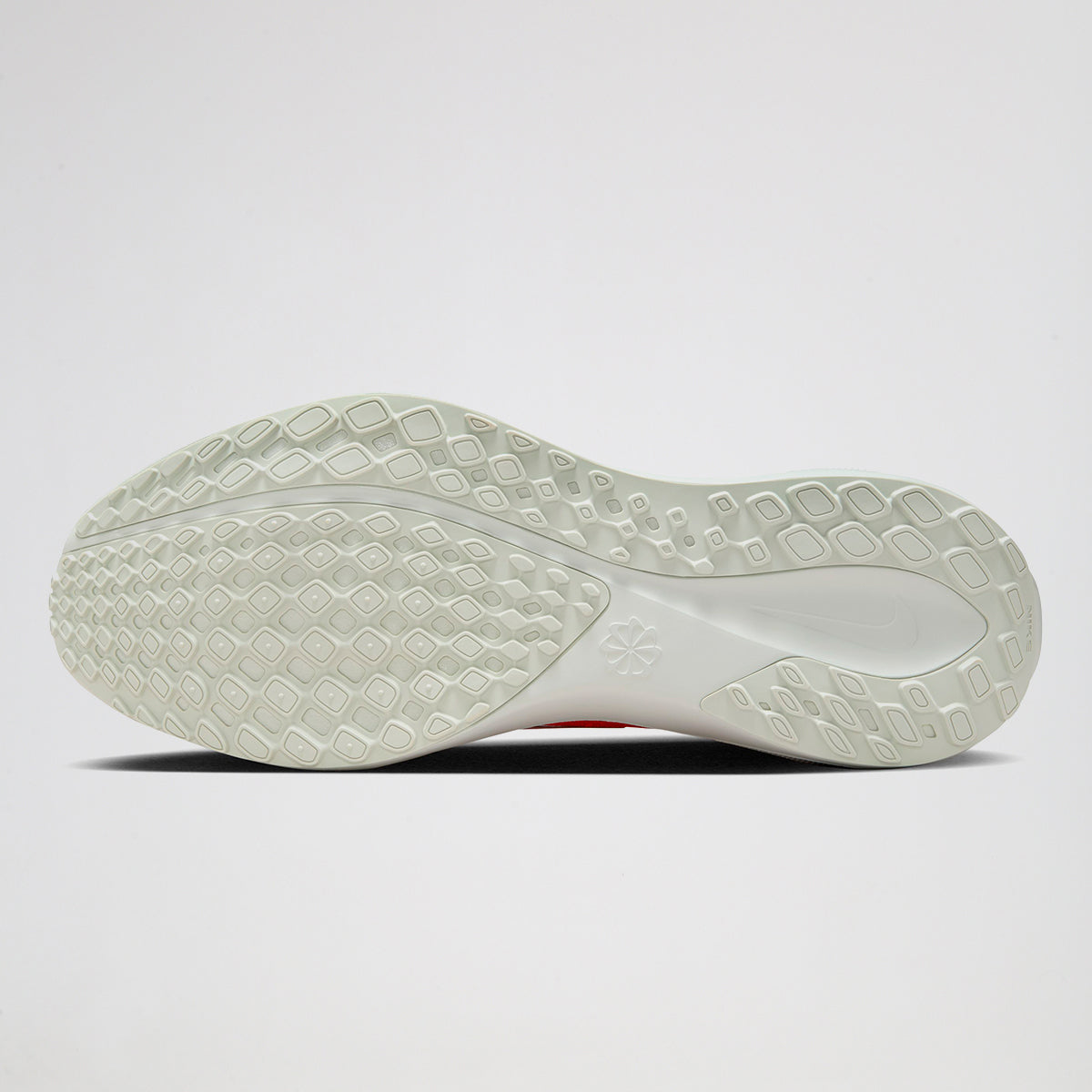 Zapatillas Nike Pegasus 41 PRM Hombre