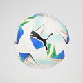 Pelota Puma Cumbre Conmebol Libertadores Fifa Pro 2025