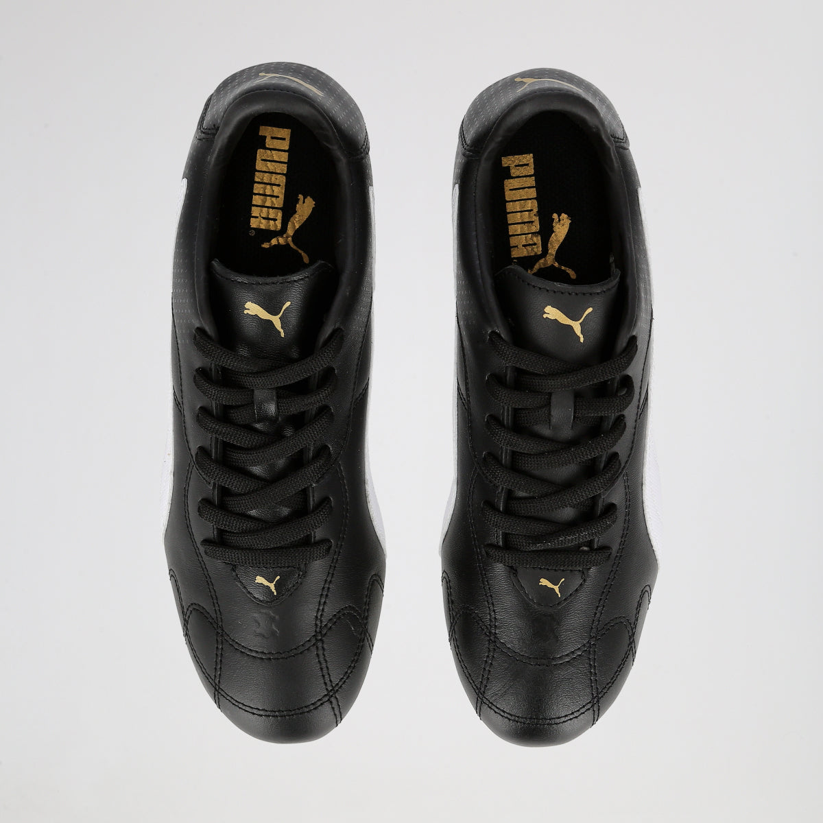 Botines Fútbol Puma Borussia C Fg Hombre