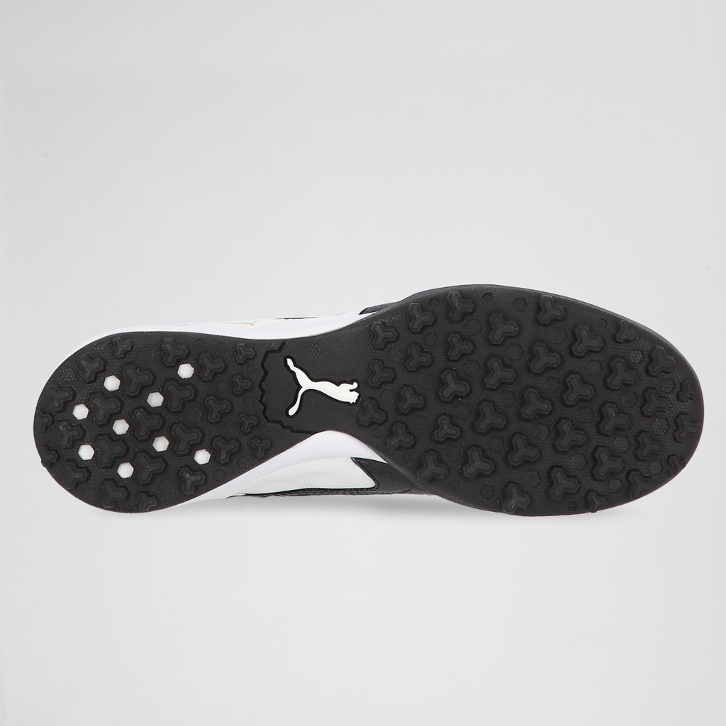 Botines Puma Borussia Tt Evo