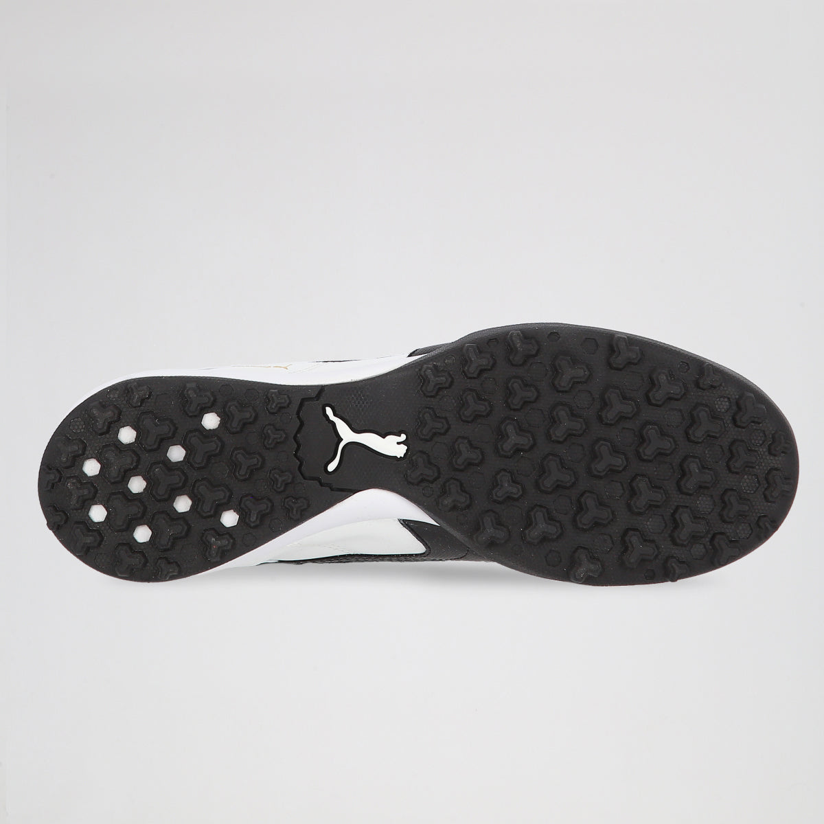 Botines Puma Borussia Tt Evo