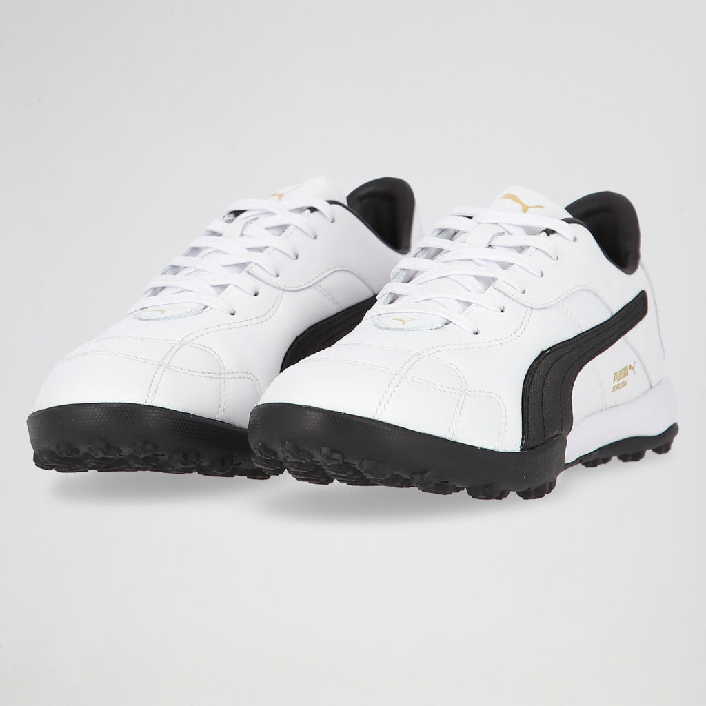Botines Puma Borussia Tt Evo