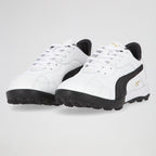 Botines Puma Borussia Tt Evo