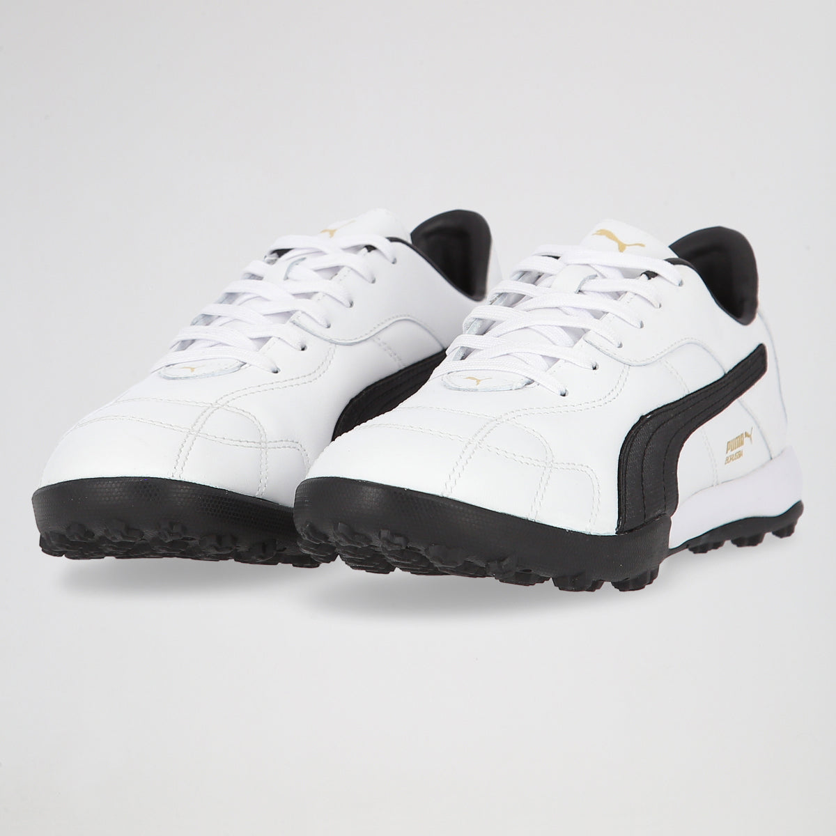 Botines Puma Borussia Tt Evo