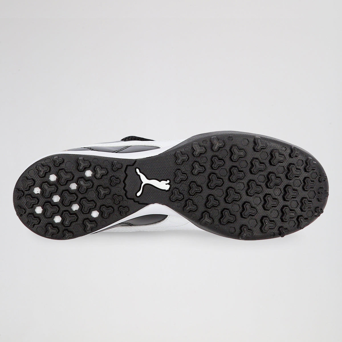 Botines Fútbol Puma Borussia TT Hombre