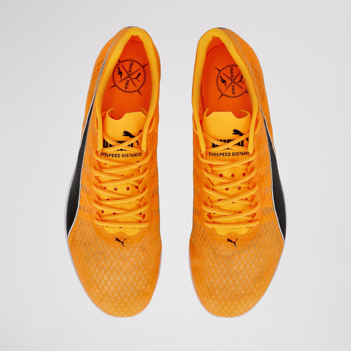Zapatillas Running Puma Evospeed Distance 11 Hombre