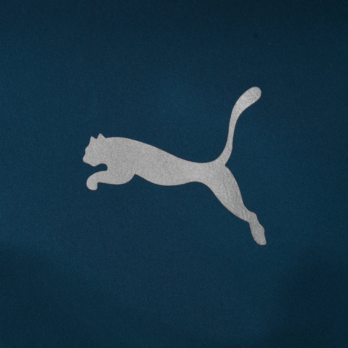 Campera Entrenamiento Puma Run Favorite Hombre