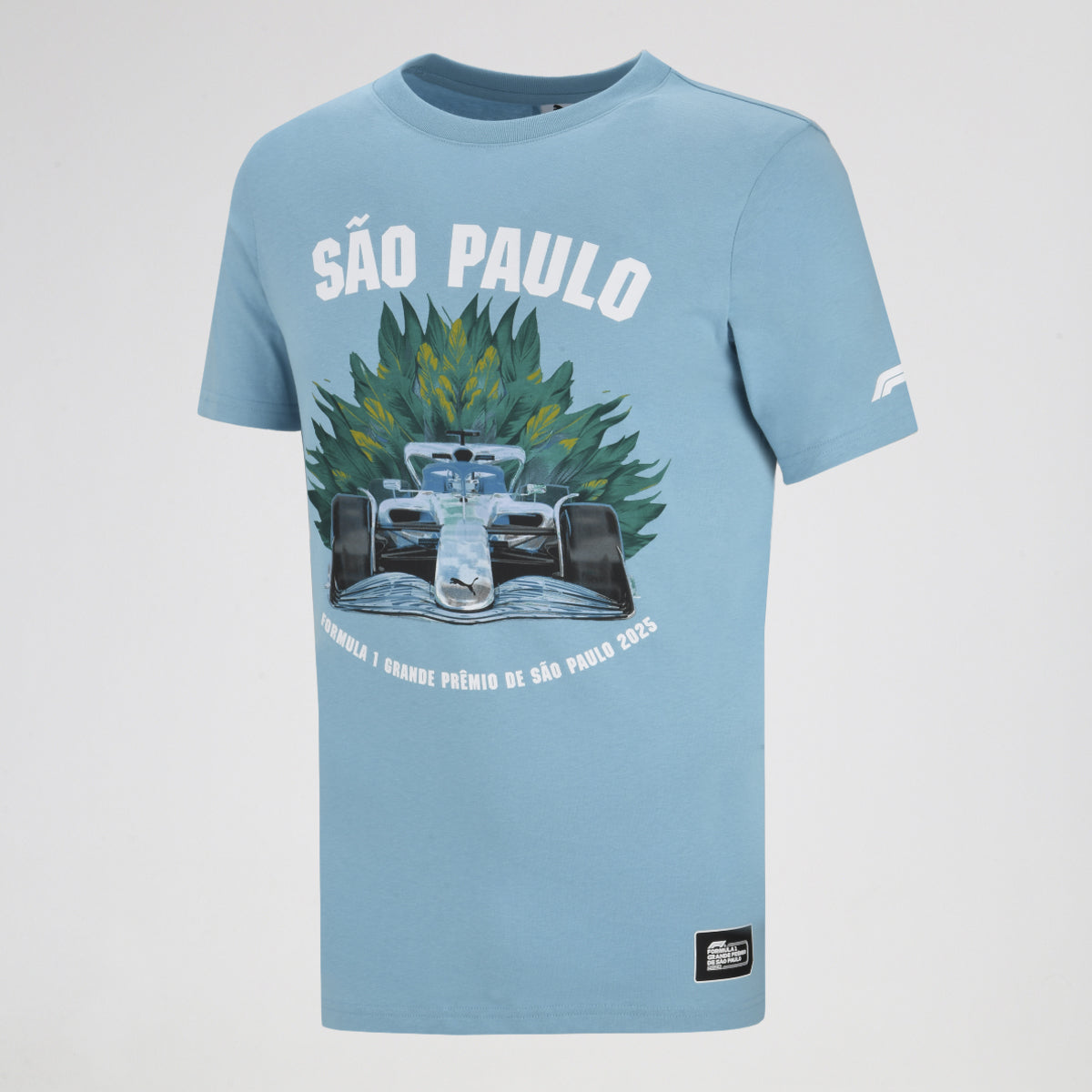Remera Puma F1 Brazil Hombre