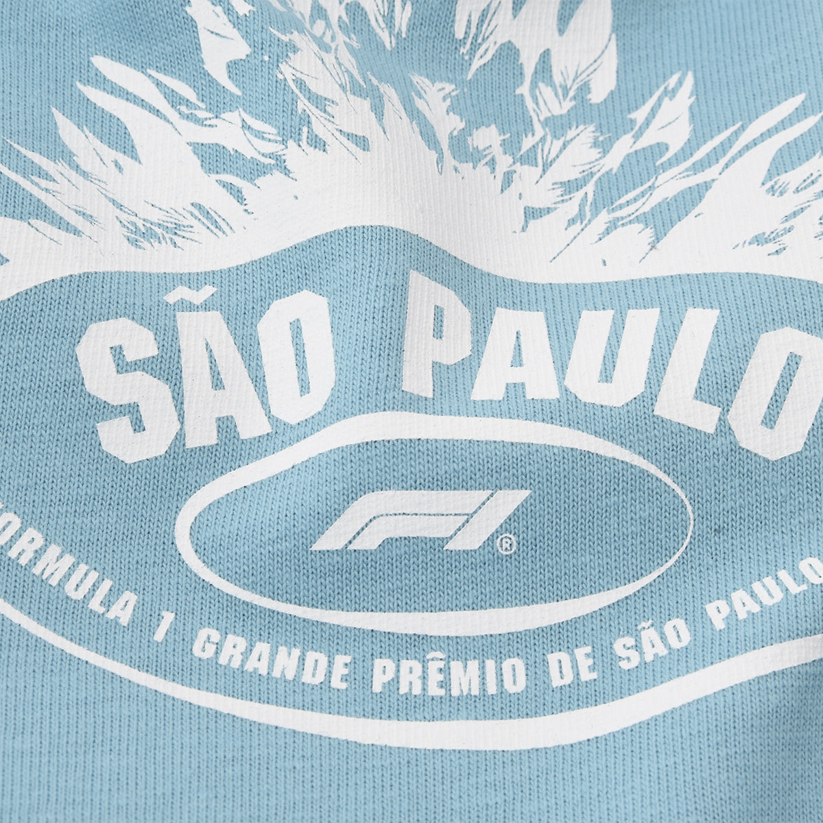 Remera Puma F1 Brazil Hombre