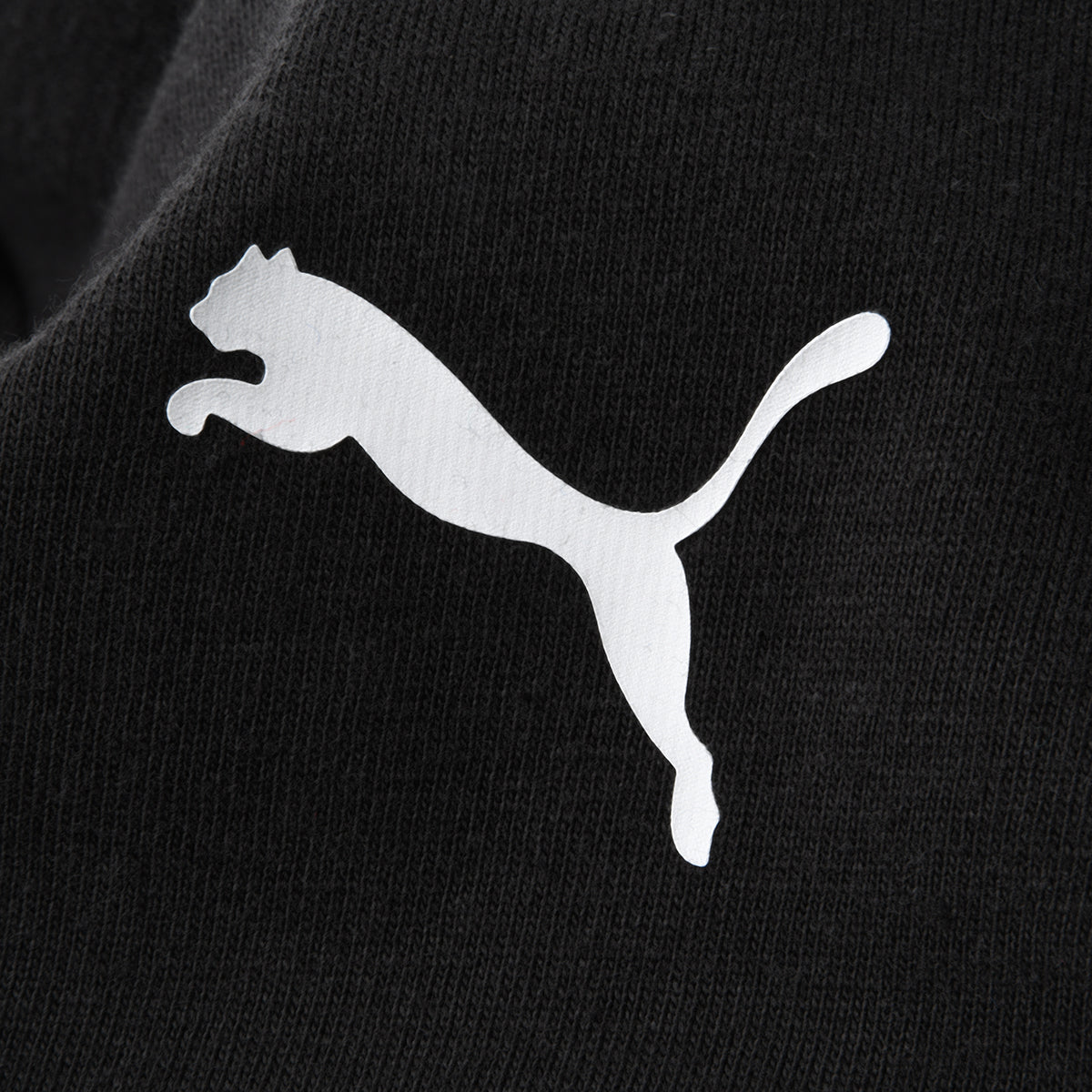 Remera Puma BMW M Motorsport MT7 Hombre