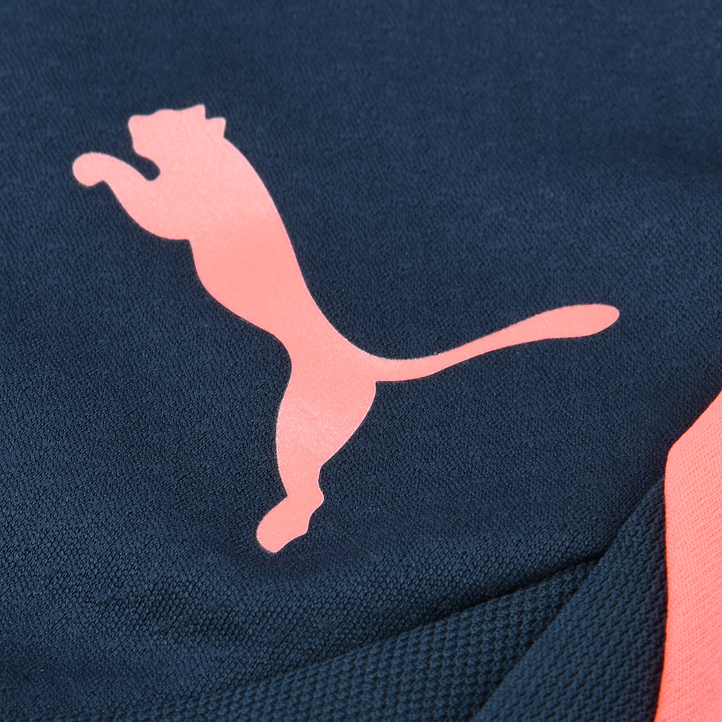 Pantalón Entrenamiento Puma Individualfinal Hombre