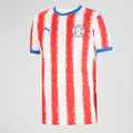 Camiseta Paraguay Puma Titular 2026 Hombre