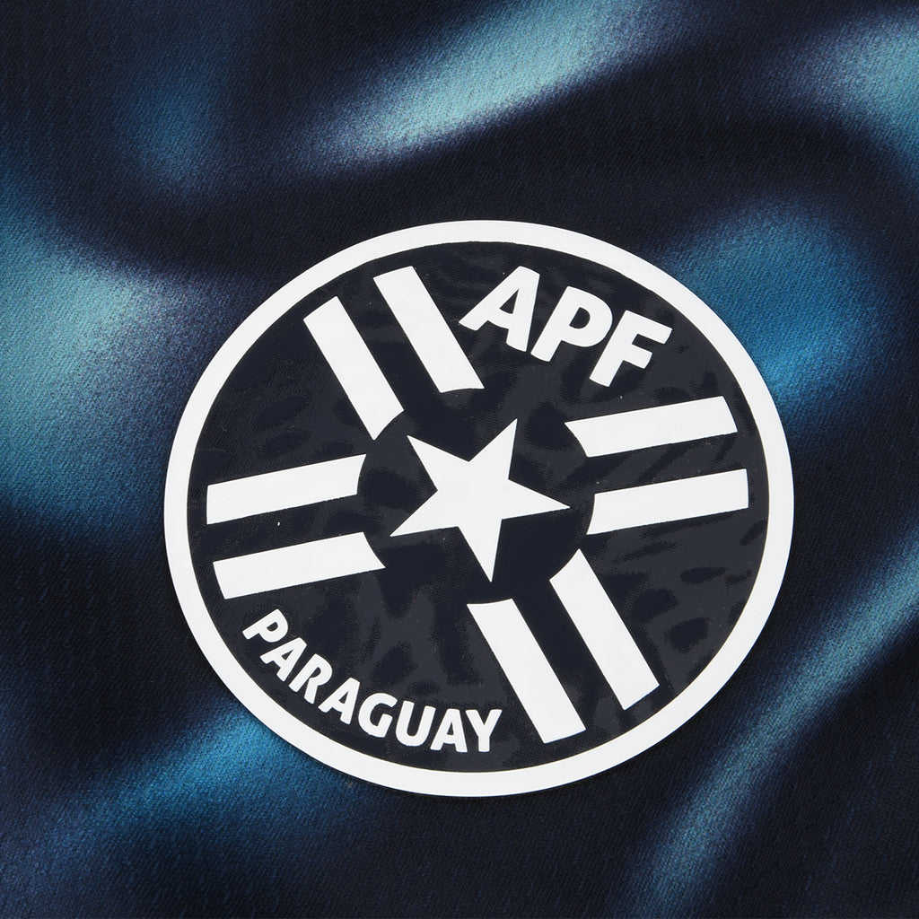Camiseta Paraguay Puma Alternativa 2026 Hombre