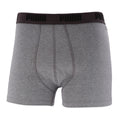 Boxer Puma Basic