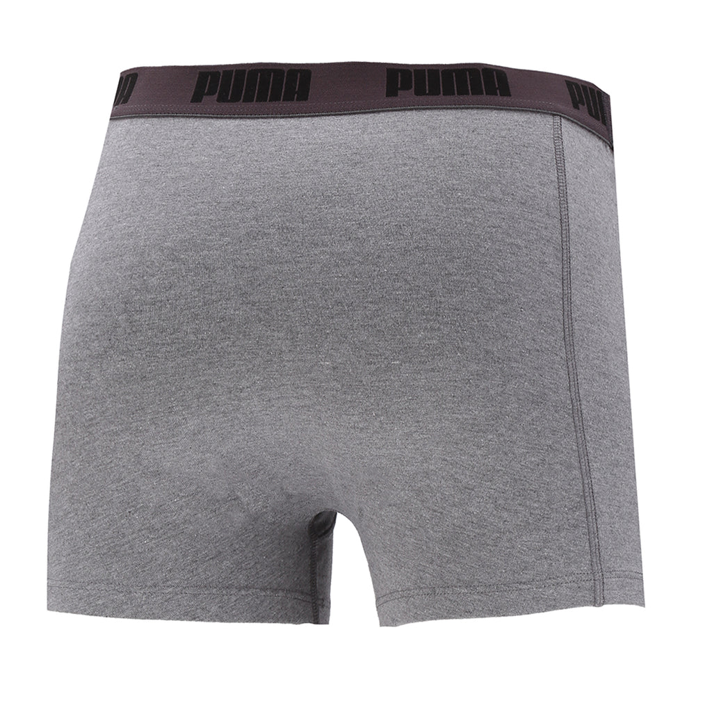 Boxer Puma Basic