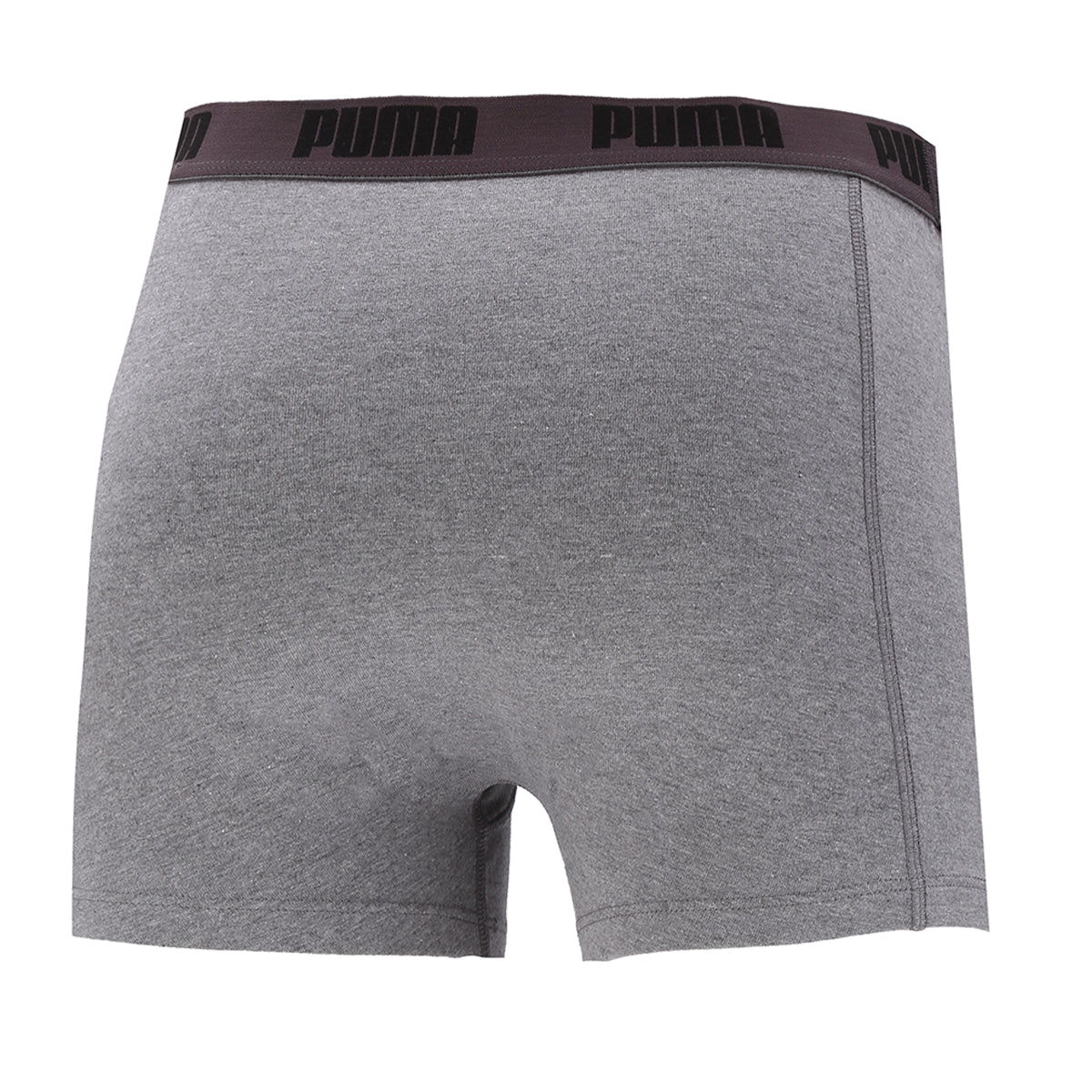 Boxer Puma Basic