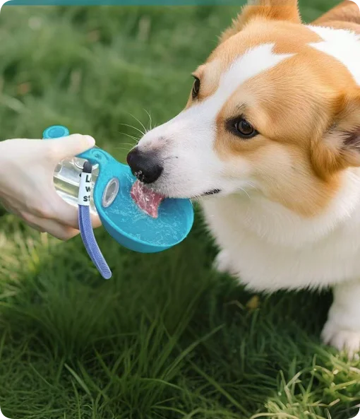 Bebedero Portátil de Acero Inoxidable con Bowl Plegable de Silicona para Perros y Gatos