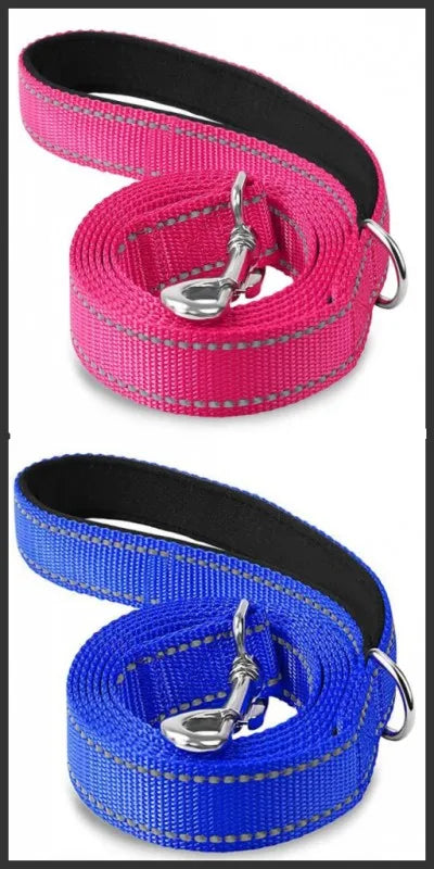 Correa para Perro Reflectante con Cinta de Seguridad para Paseo y Entrenamiento