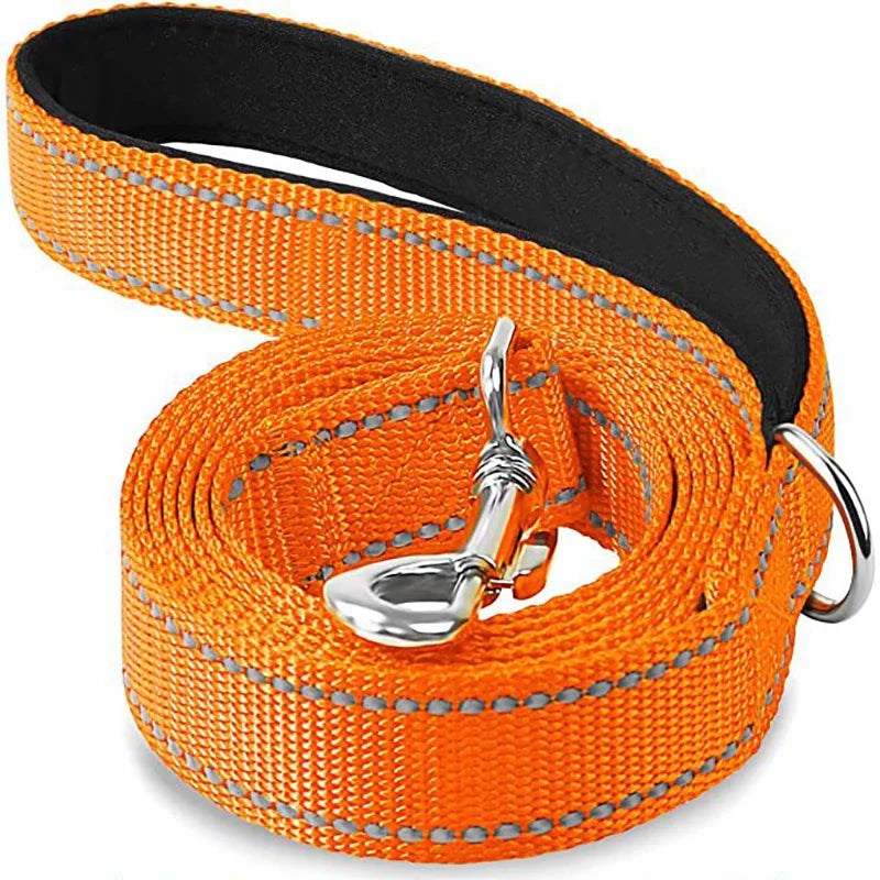 Correa para Perro Reflectante con Cinta de Seguridad para Paseo y Entrenamiento