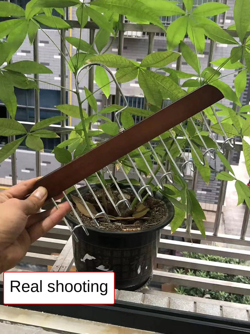 Percha de Madera Multifuncional con 8 Ganchos para Corpiños y Accesorios