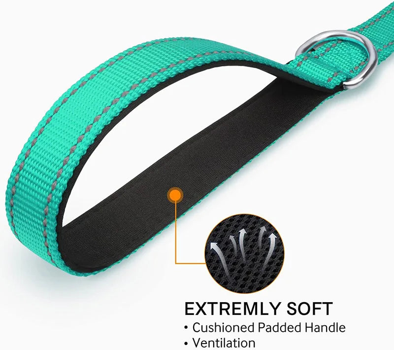 Correa para Perro Reflectante con Cinta de Seguridad para Paseo y Entrenamiento