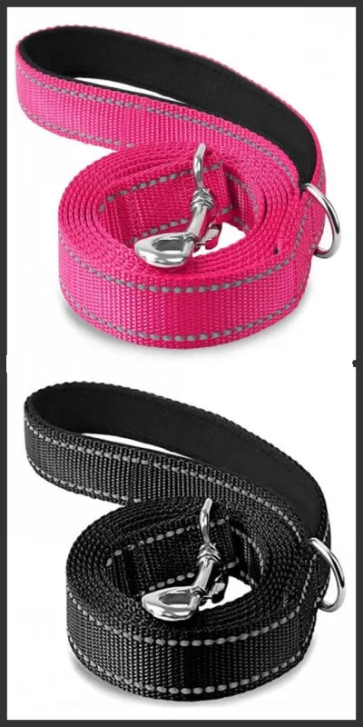 Correa para Perro Reflectante con Cinta de Seguridad para Paseo y Entrenamiento