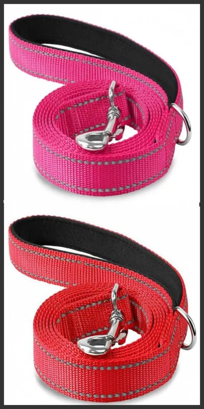 Correa para Perro Reflectante con Cinta de Seguridad para Paseo y Entrenamiento