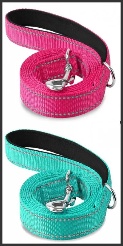 Correa para Perro Reflectante con Cinta de Seguridad para Paseo y Entrenamiento