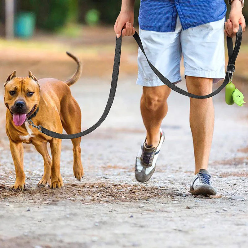 Correa para Perro Reflectante con Cinta de Seguridad para Paseo y Entrenamiento