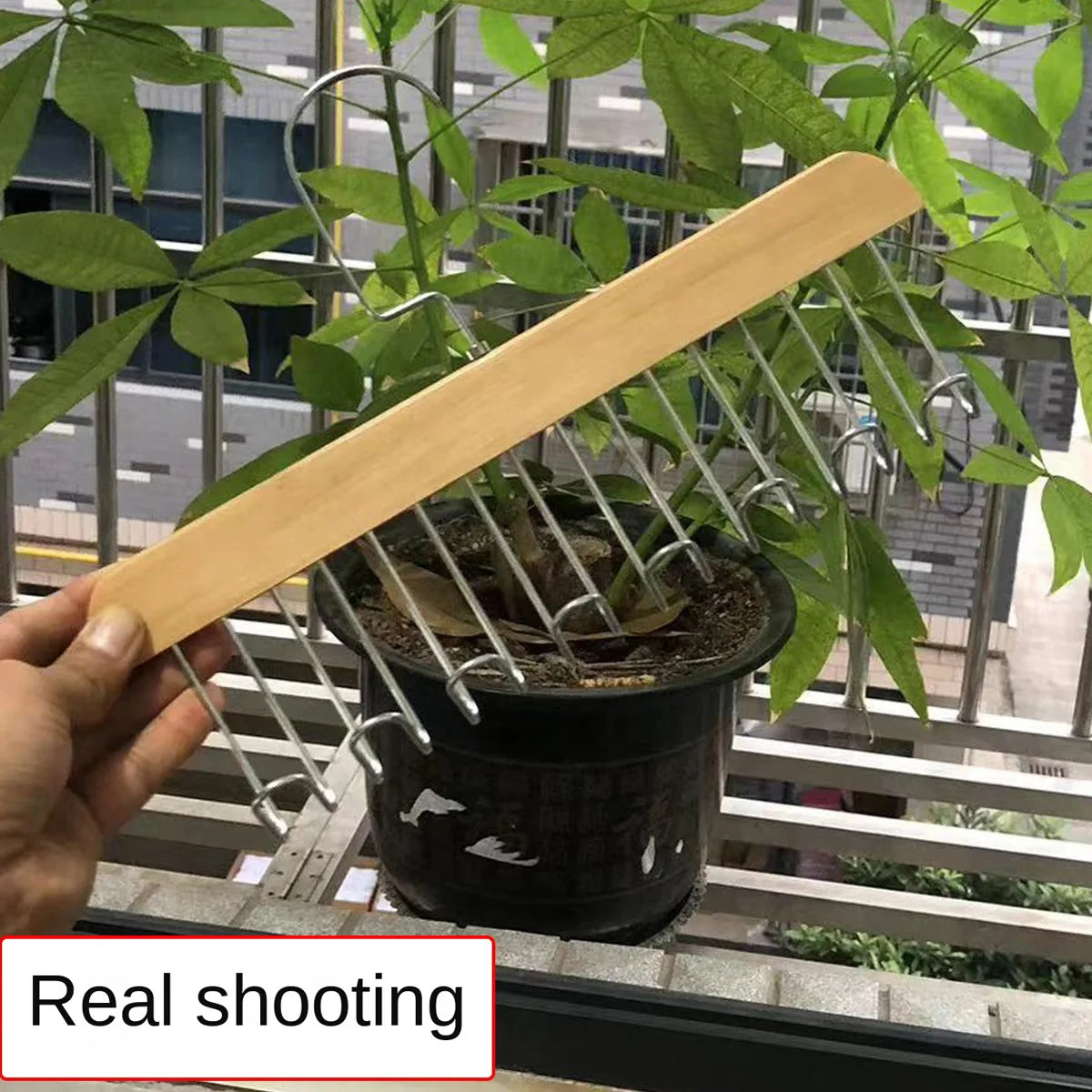 Percha de Madera Multifuncional con 8 Ganchos para Corpiños y Accesorios