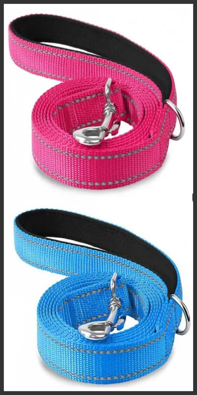 Correa para Perro Reflectante con Cinta de Seguridad para Paseo y Entrenamiento