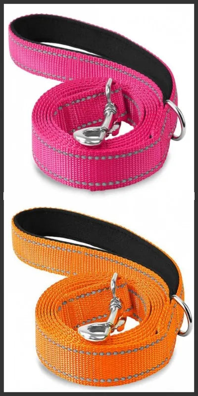 Correa para Perro Reflectante con Cinta de Seguridad para Paseo y Entrenamiento