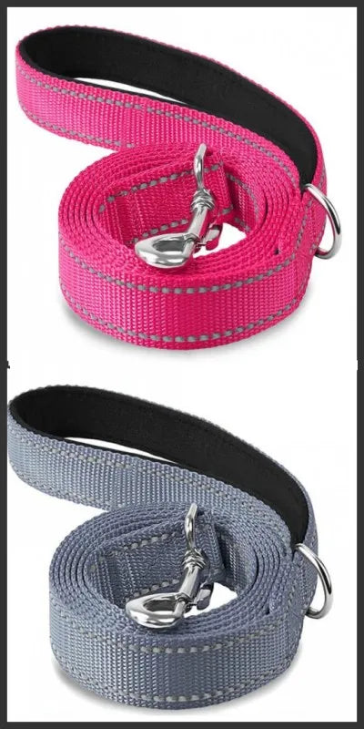 Correa para Perro Reflectante con Cinta de Seguridad para Paseo y Entrenamiento