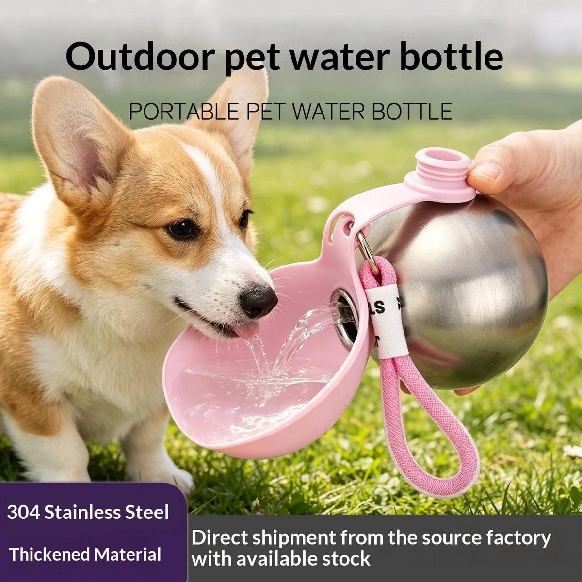 Bebedero Portátil de Acero Inoxidable con Bowl Plegable de Silicona para Perros y Gatos