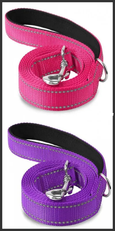 Correa para Perro Reflectante con Cinta de Seguridad para Paseo y Entrenamiento